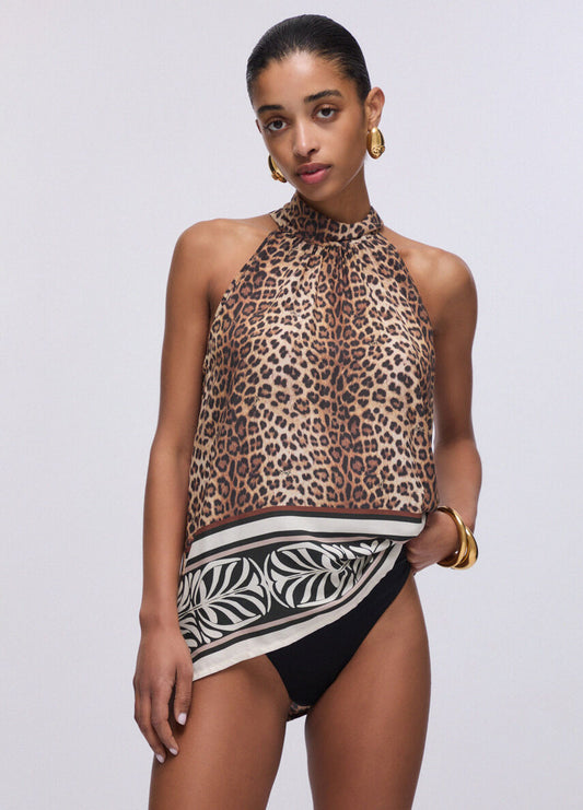 Top halter animal.