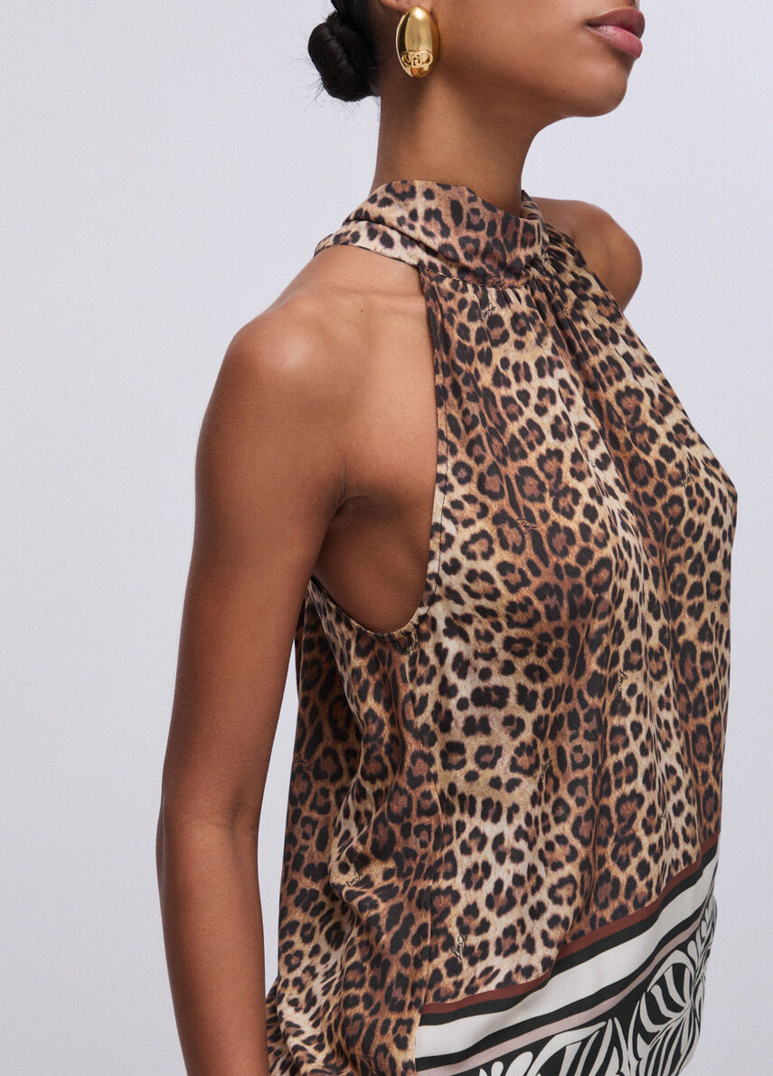 Top halter animal.